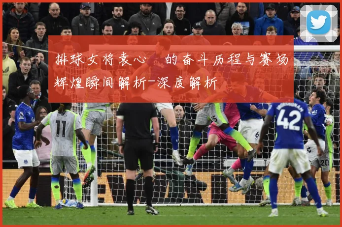 排球女将袁心玥的奋斗历程与赛场辉煌瞬间解析-深度解析